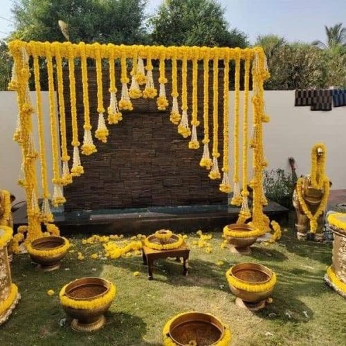 WhatsApp Image 2025-12-24 at 8.17.31 AM (1)