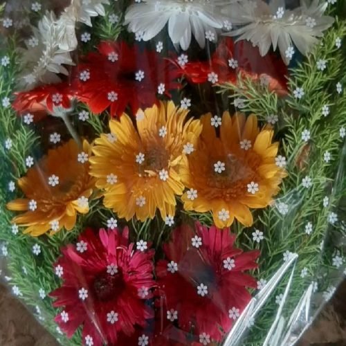 WhatsApp Image 2026-03-05 at 2.44.33 PM (1)