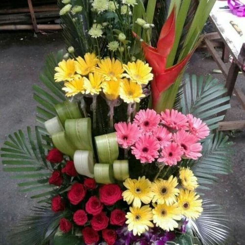 WhatsApp Image 2026-03-05 at 2.44.33 PM