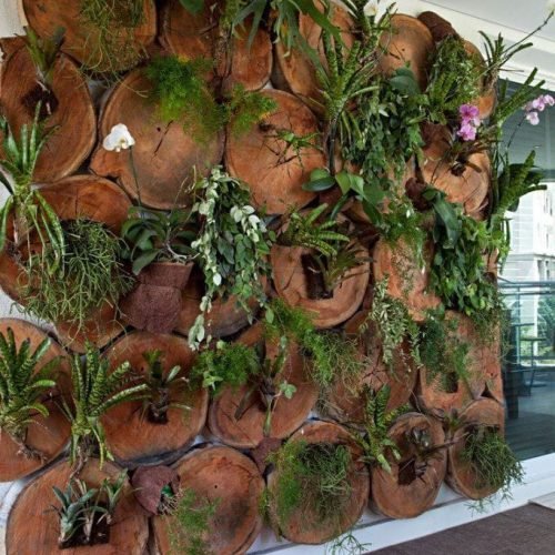 WhatsApp Image 2026-03-05 at 2.59.57 PM