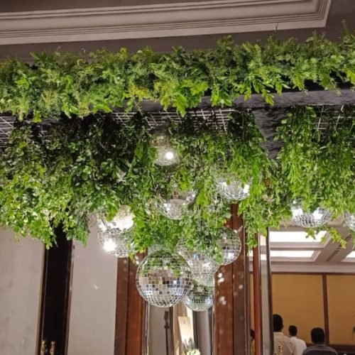 WhatsApp Image 2026-03-05 at 3.03.51 PM