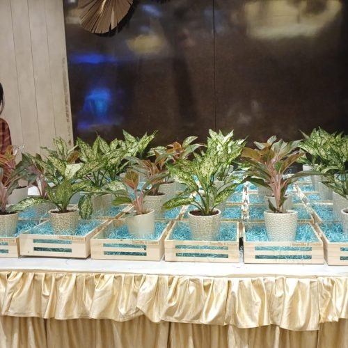 WhatsApp Image 2026-03-05 at 3.16.42 PM