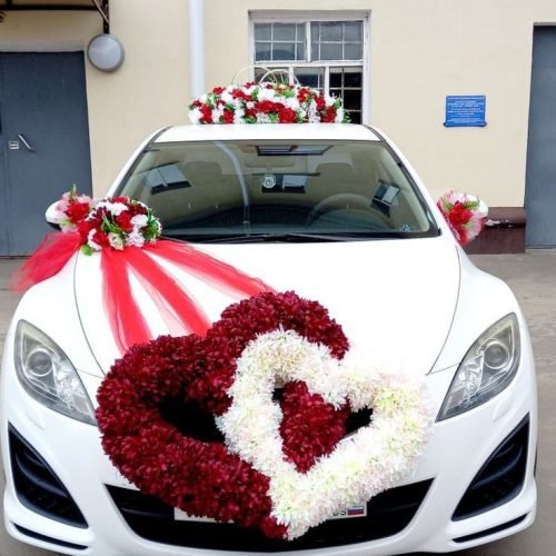 WhatsApp Image 2026-03-05 at 3.24.11 PM (1)