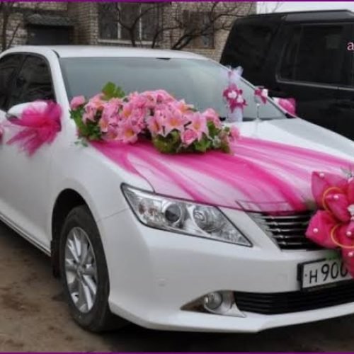 WhatsApp Image 2026-03-05 at 3.24.13 PM (1)