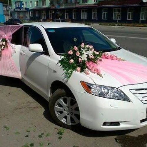 WhatsApp Image 2026-03-05 at 3.24.13 PM