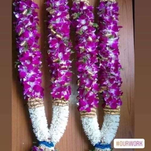 WhatsApp Image 2026-03-05 at 3.29.22 PM (1)