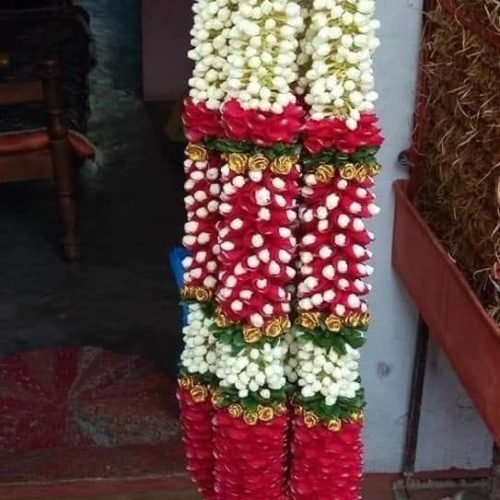 WhatsApp Image 2026-03-05 at 3.29.23 PM