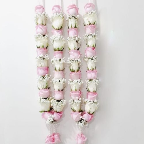 WhatsApp Image 2026-03-05 at 3.29.27 PM