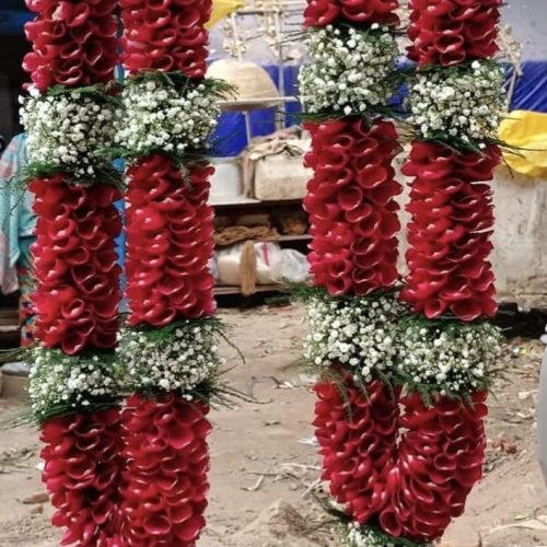 WhatsApp Image 2026-03-05 at 3.30.44 PM