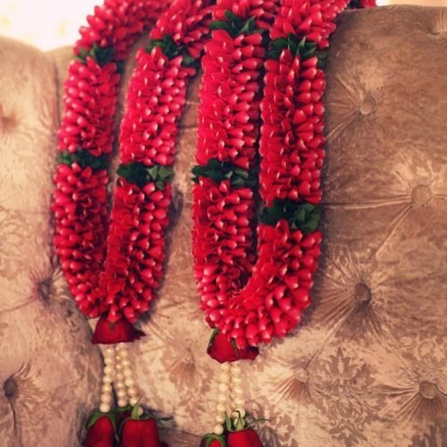 WhatsApp Image 2026-03-05 at 3.30.45 PM (1)