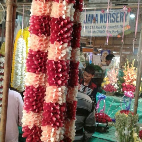 WhatsApp Image 2026-03-05 at 3.30.46 PM