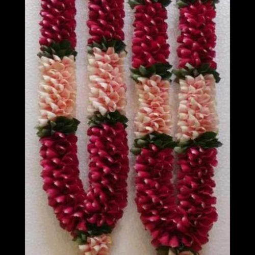 WhatsApp Image 2026-03-05 at 3.30.47 PM (1)