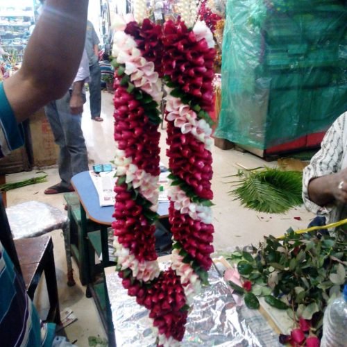 WhatsApp Image 2026-03-05 at 3.30.47 PM