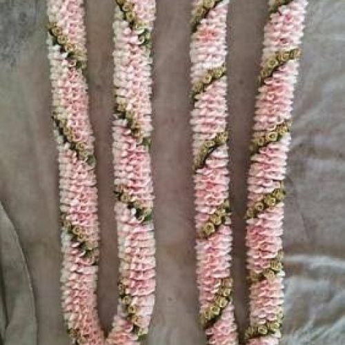 WhatsApp Image 2026-03-05 at 3.30.48 PM