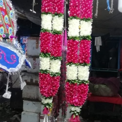 WhatsApp Image 2026-03-05 at 3.30.49 PM