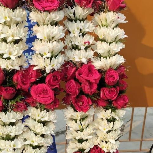 WhatsApp Image 2026-03-05 at 3.31.19 PM