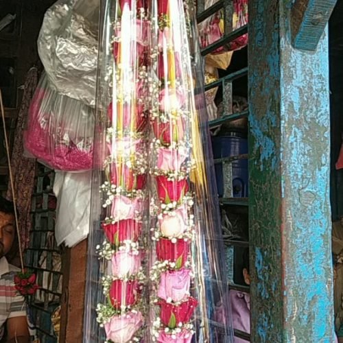 WhatsApp Image 2026-03-05 at 3.31.20 PM