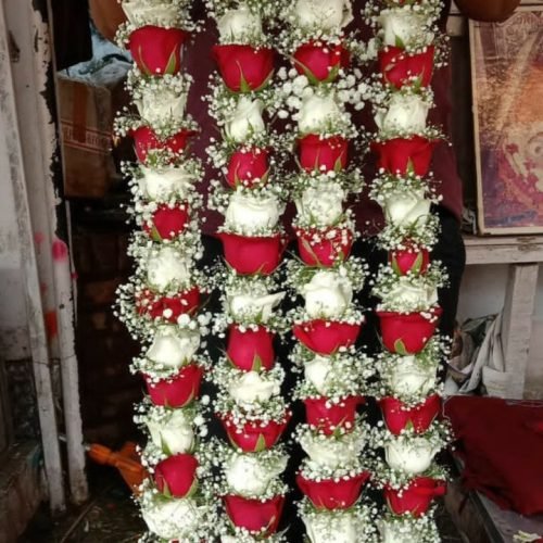 WhatsApp Image 2026-03-05 at 3.31.22 PM (1)