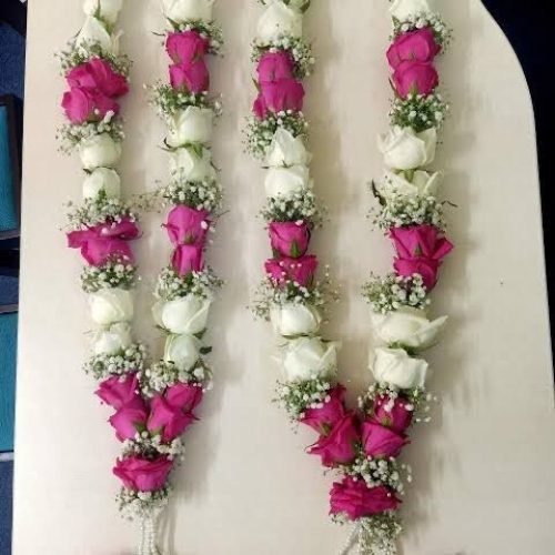 WhatsApp Image 2026-03-05 at 3.31.22 PM