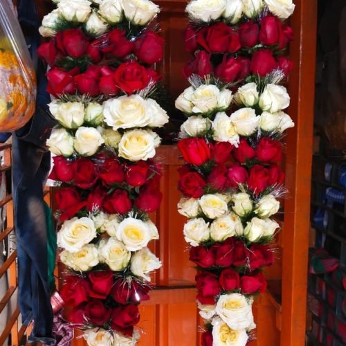 WhatsApp Image 2026-03-05 at 3.31.23 PM